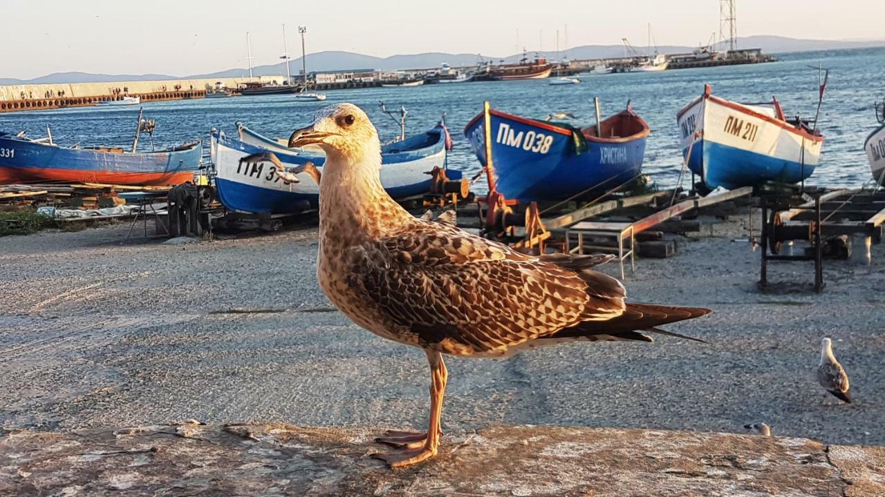 Apartamento Blue Bay Sea View Pomorie Exterior foto